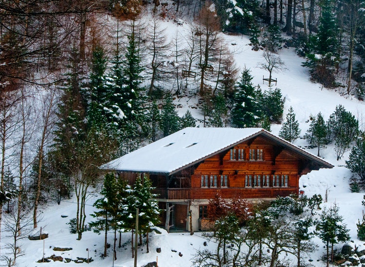 Winter Holidays and traveling Around the World